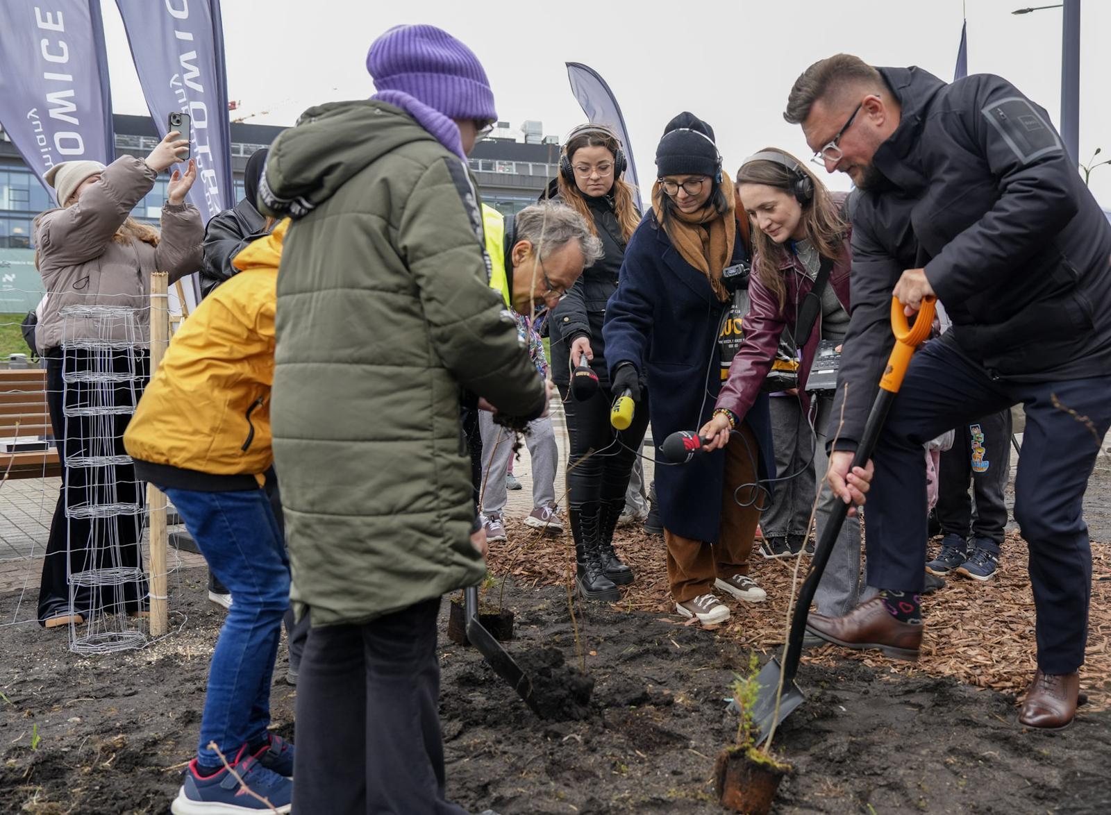 Mikrolas w Katowicach już rośnie. Nowa zielona przestrzeń przy Rynku to odpowiedź na zmiany klimatu i potrzeby mieszkańców.