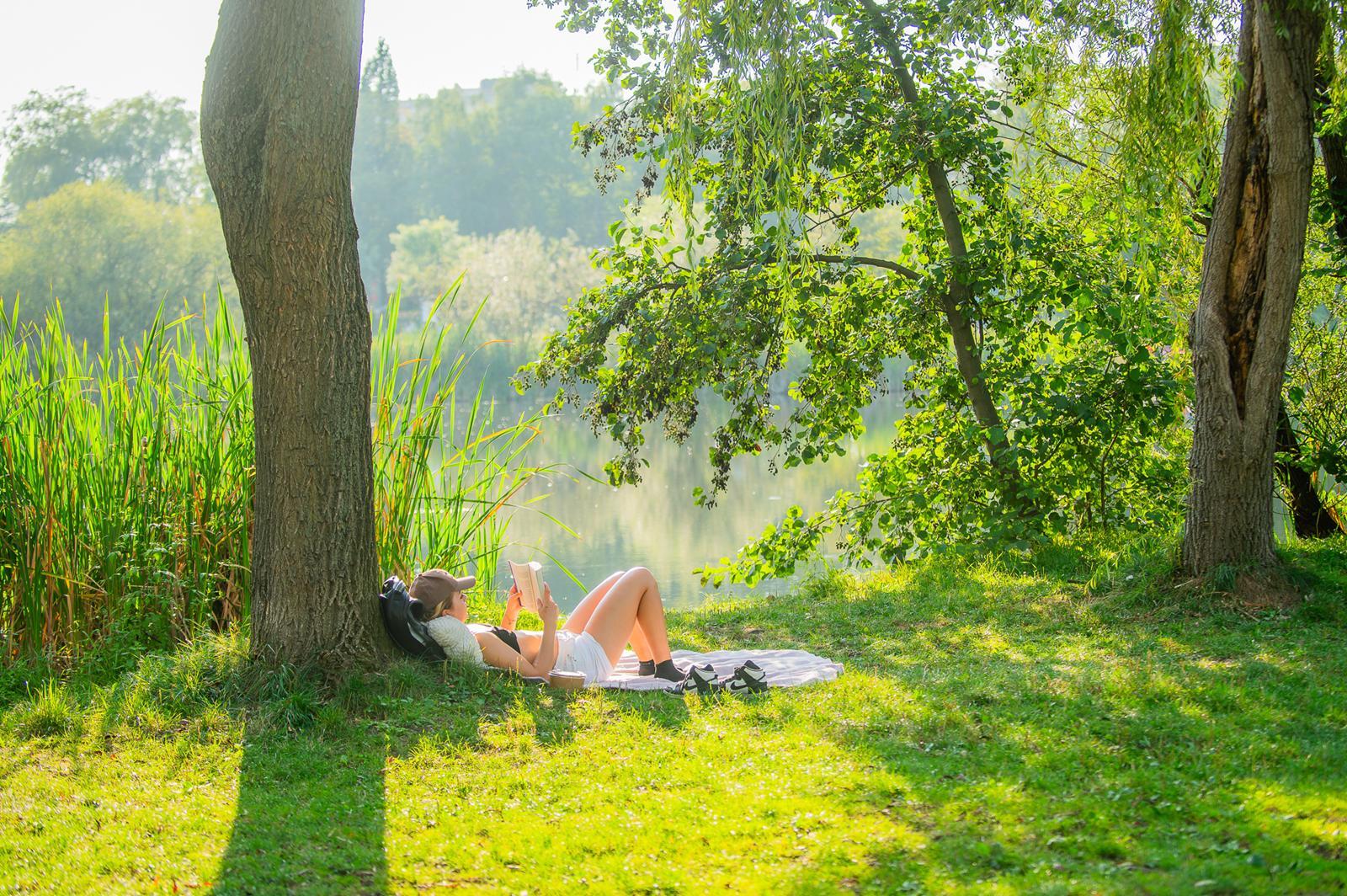Katowice zyskają 10 nowych parków kieszonkowych
