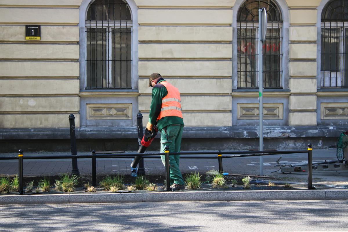 Katowice usuwają beton i sadzą zieleń. W 17 miejscach miasta pojawiły się nowe trawy ozdobne i biologicznie czynne tereny.